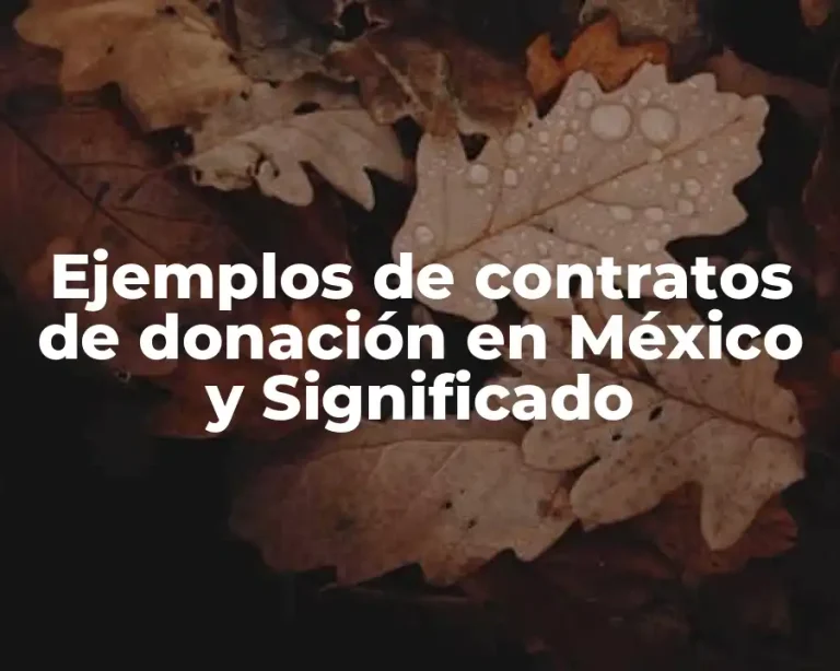 Ejemplos de contratos de donación en México y Significado