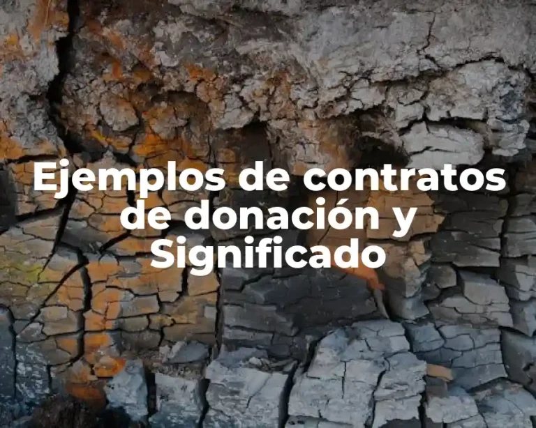 Ejemplos de contratos de donación y Significado