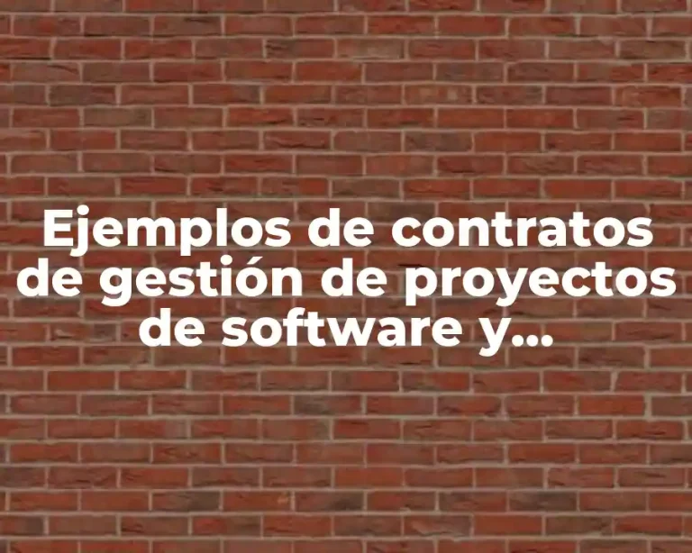 Ejemplos de contratos de gestión de proyectos de software y Significado