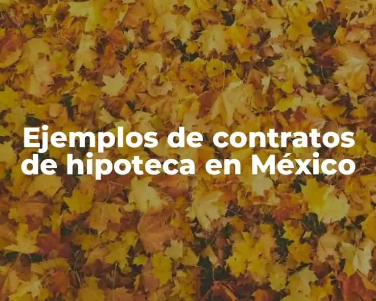 Ejemplos de contratos de hipoteca en México