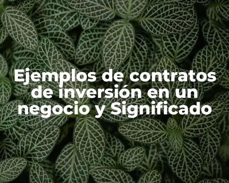 Ejemplos de contratos de inversión en un negocio y Significado