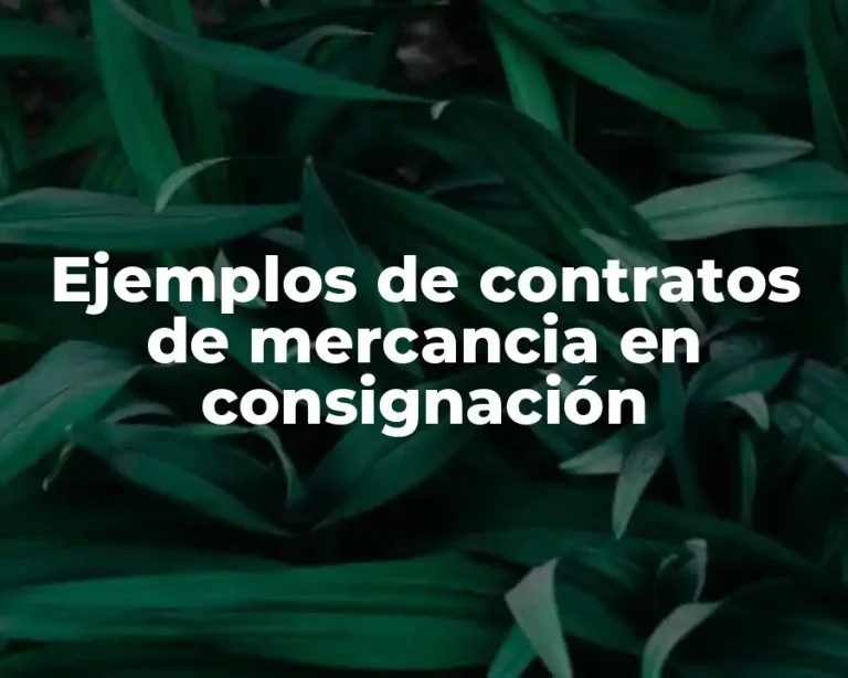 Ejemplos de contratos de mercancia en consignación