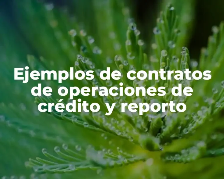 Ejemplos de contratos de operaciones de crédito y reporto