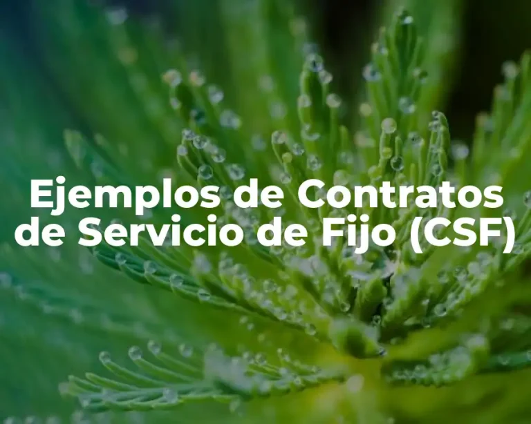 Ejemplos de Contratos de Servicio de Fijo (CSF)