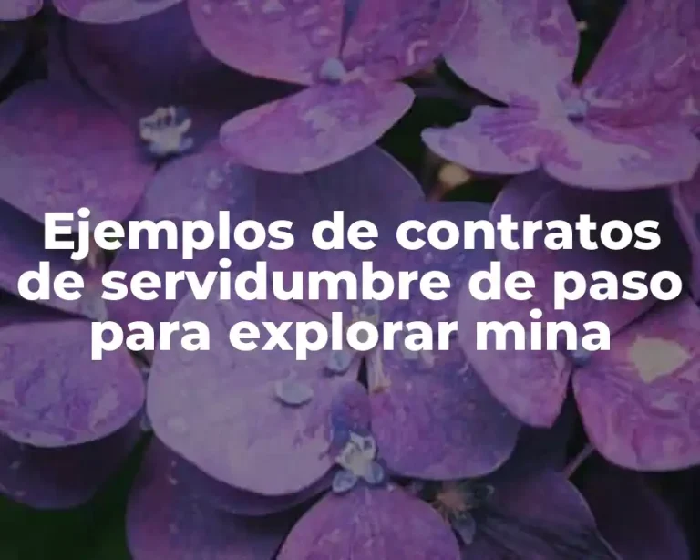 Ejemplos de contratos de servidumbre de paso para explorar mina