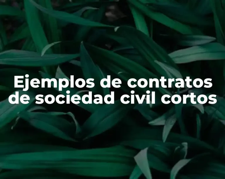 Ejemplos de contratos de sociedad civil cortos