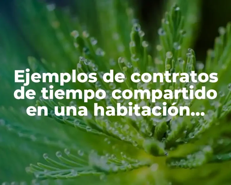 Ejemplos de contratos de tiempo compartido en una habitación vacacional