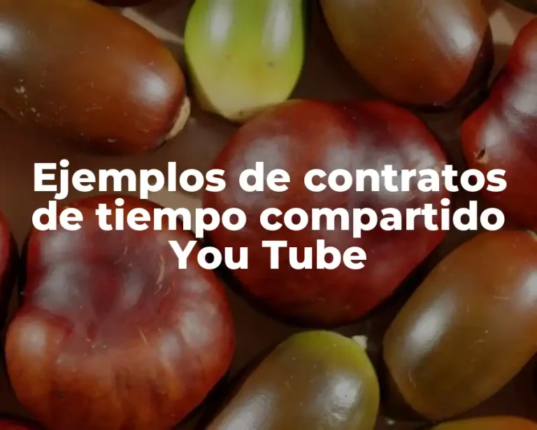 Ejemplos de contratos de tiempo compartido You Tube
