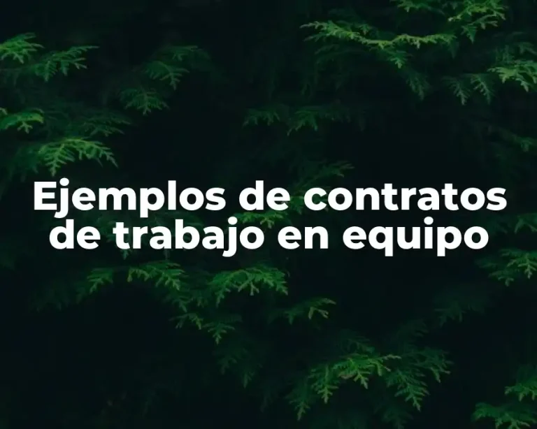 Ejemplos de contratos de trabajo en equipo
