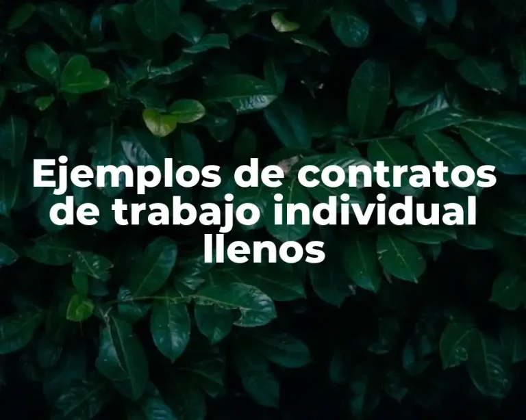 Ejemplos de contratos de trabajo individual llenos
