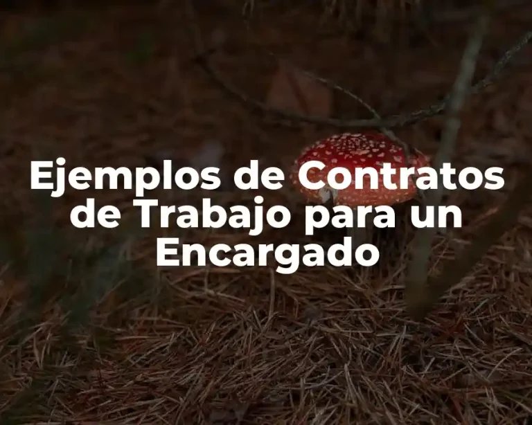 Ejemplos de Contratos de Trabajo para un Encargado
