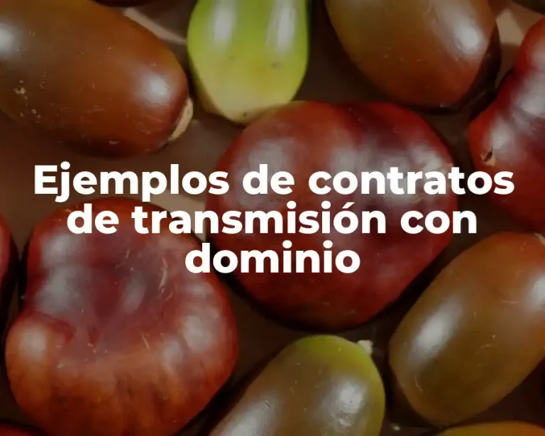 Ejemplos de contratos de transmisión con dominio
