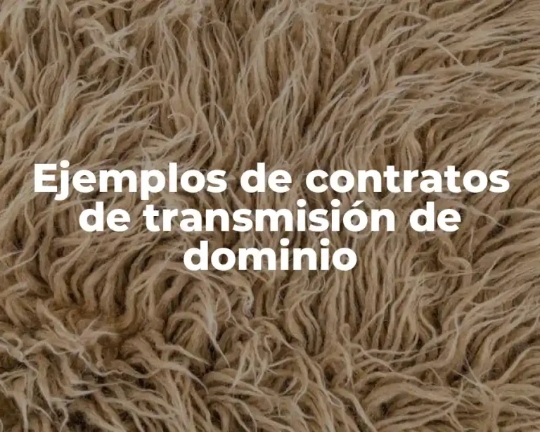 Ejemplos de contratos de transmisión de dominio