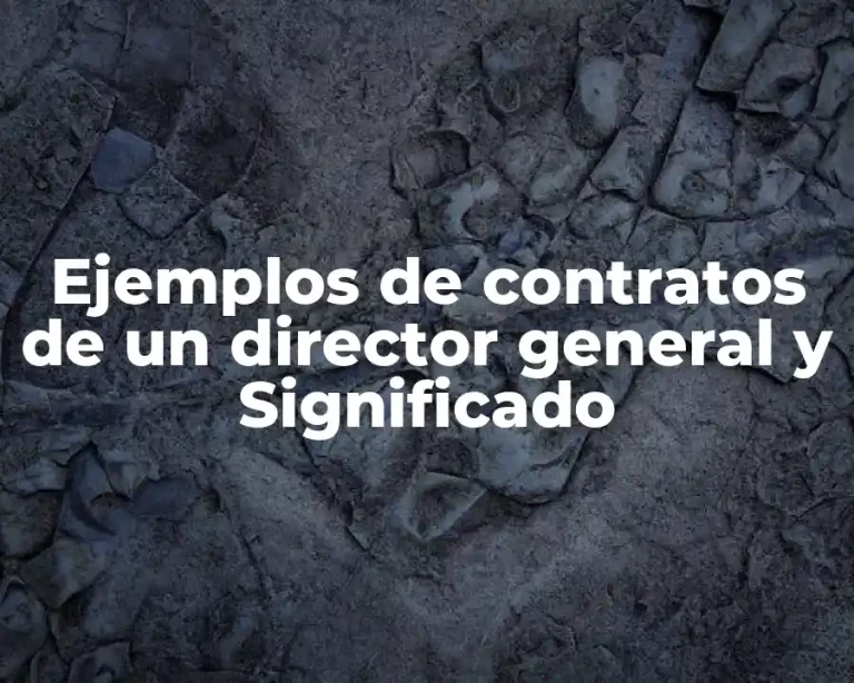 Ejemplos de contratos de un director general y Significado