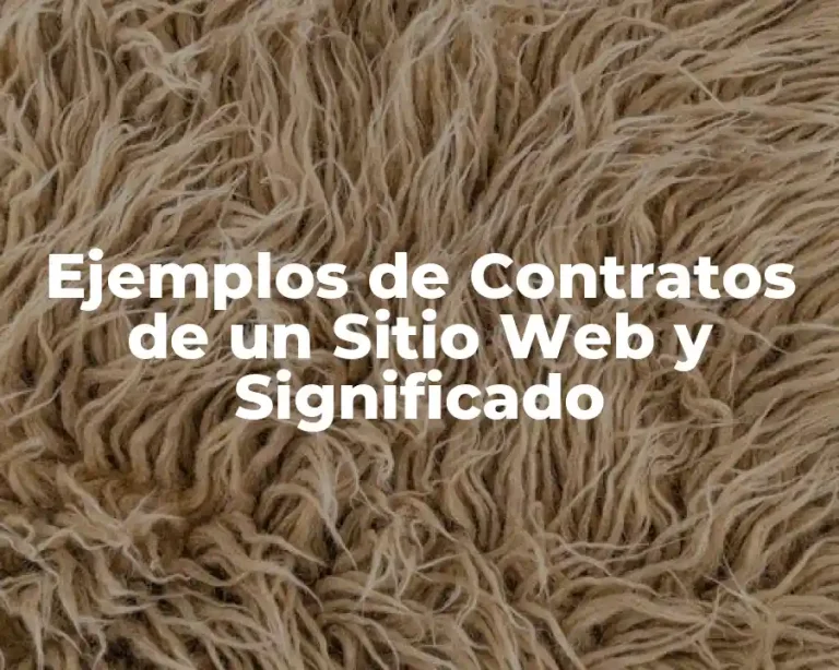 Ejemplos de Contratos de un Sitio Web y Significado