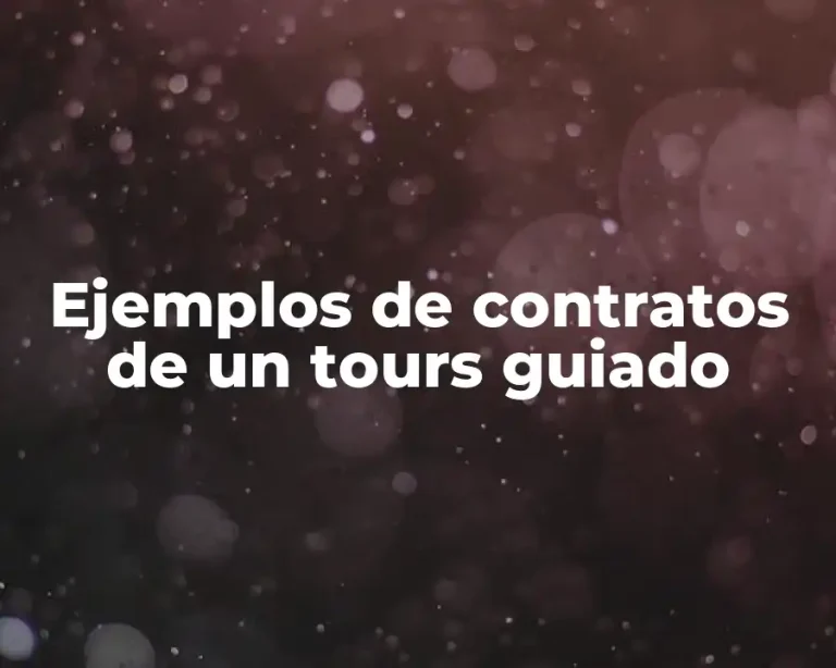 Ejemplos de contratos de un tours guiado