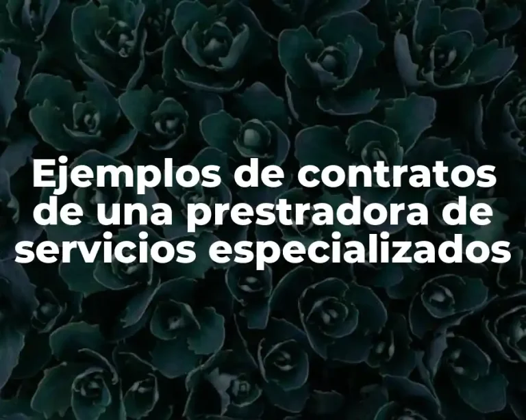 Ejemplos de contratos de una prestradora de servicios especializados