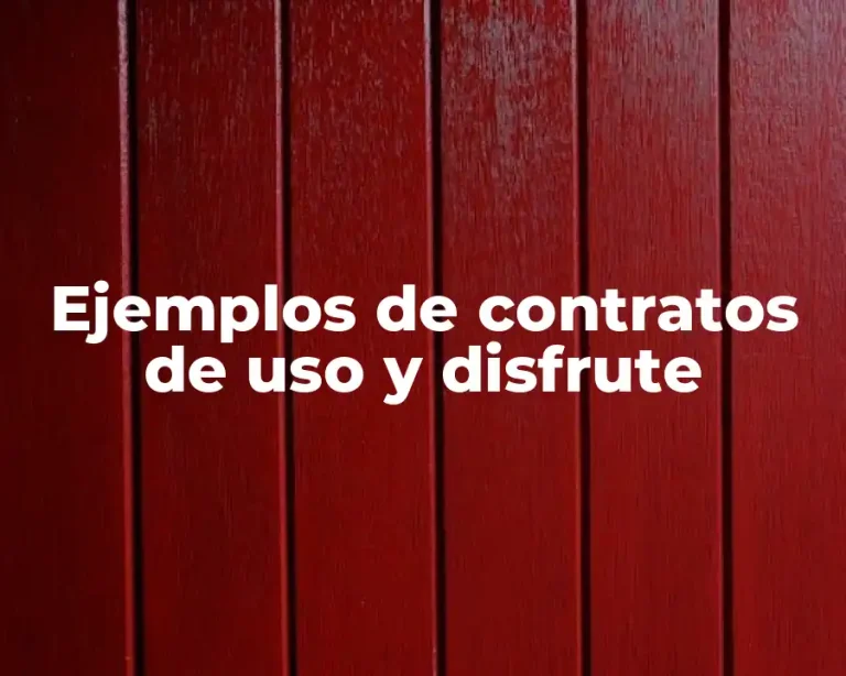 Ejemplos de contratos de uso y disfrute