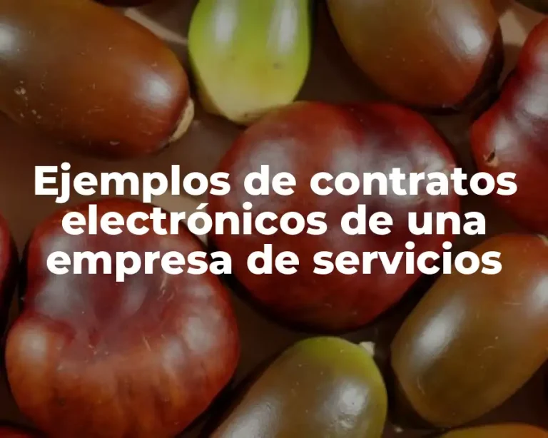Ejemplos de contratos electrónicos de una empresa de servicios