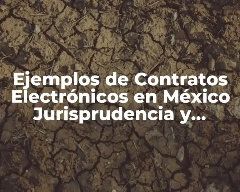 Ejemplos de Contratos Electrónicos en México Jurisprudencia y Significado