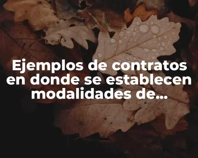 Ejemplos de contratos en donde se establecen modalidades de obligaciones
