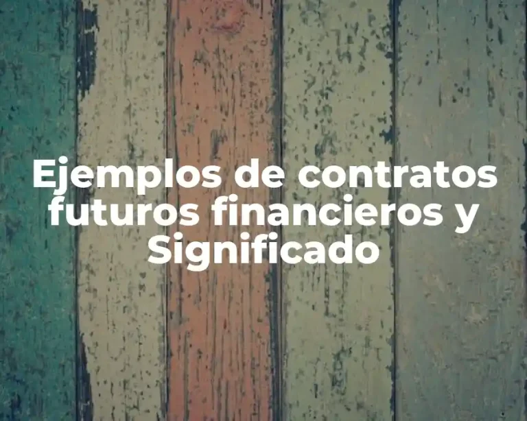Ejemplos de contratos futuros financieros y Significado