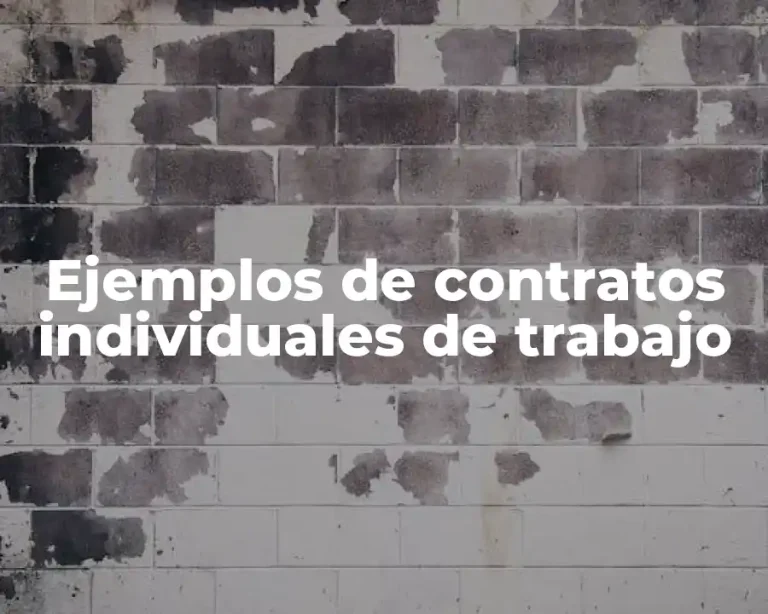 Ejemplos de contratos individuales de trabajo