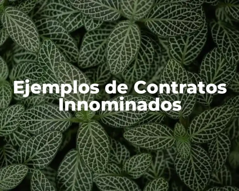 Ejemplos de Contratos Innominados