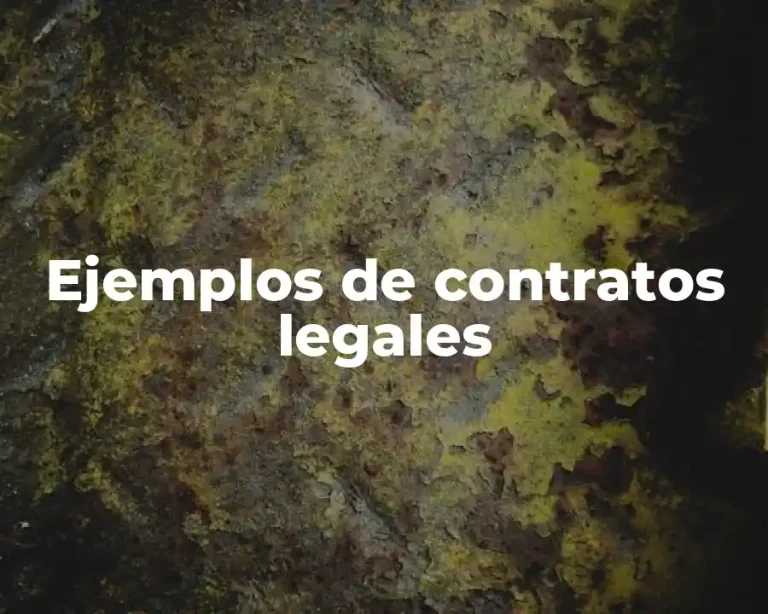 Ejemplos de contratos legales