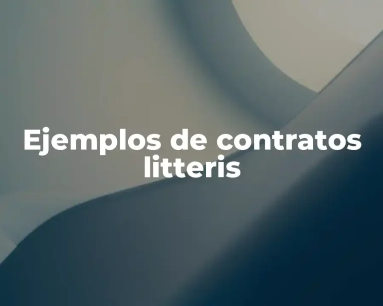 Ejemplos de contratos litteris