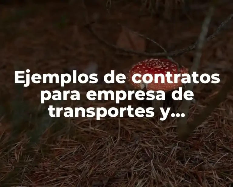 Ejemplos de contratos para empresa de transportes y Significado