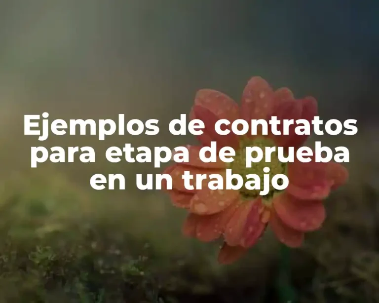 Ejemplos de contratos para etapa de prueba en un trabajo