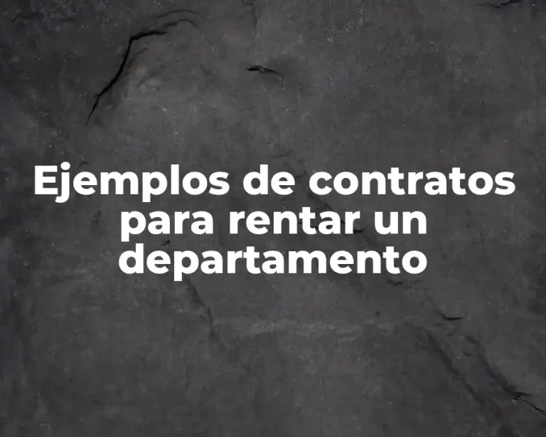 Ejemplos de contratos para rentar un departamento