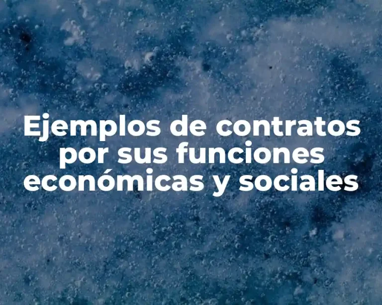Ejemplos de contratos por sus funciones económicas y sociales