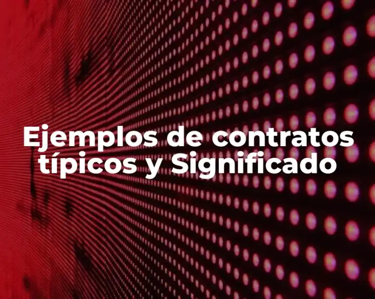 Ejemplos de contratos típicos y Significado