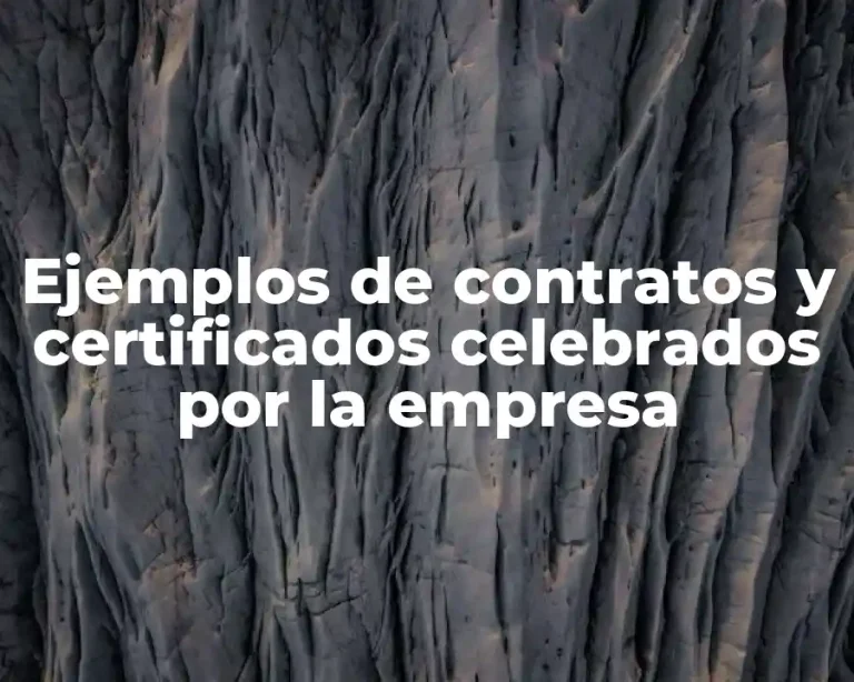 Ejemplos de contratos y certificados celebrados por la empresa