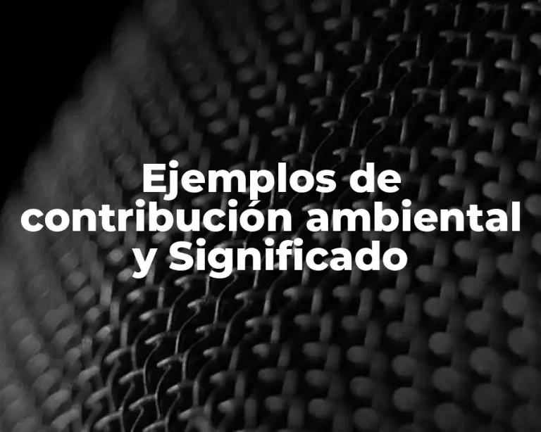 Ejemplos de contribución ambiental y Significado