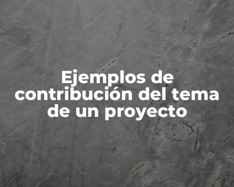 Ejemplos de contribución del tema de un proyecto
