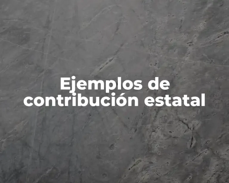 Ejemplos de contribución estatal