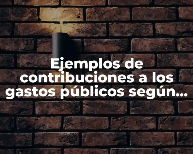 Ejemplos de contribuciones a los gastos públicos según la CFF