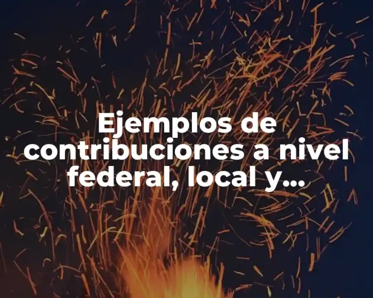 Ejemplos de contribuciones a nivel federal, local y municipal