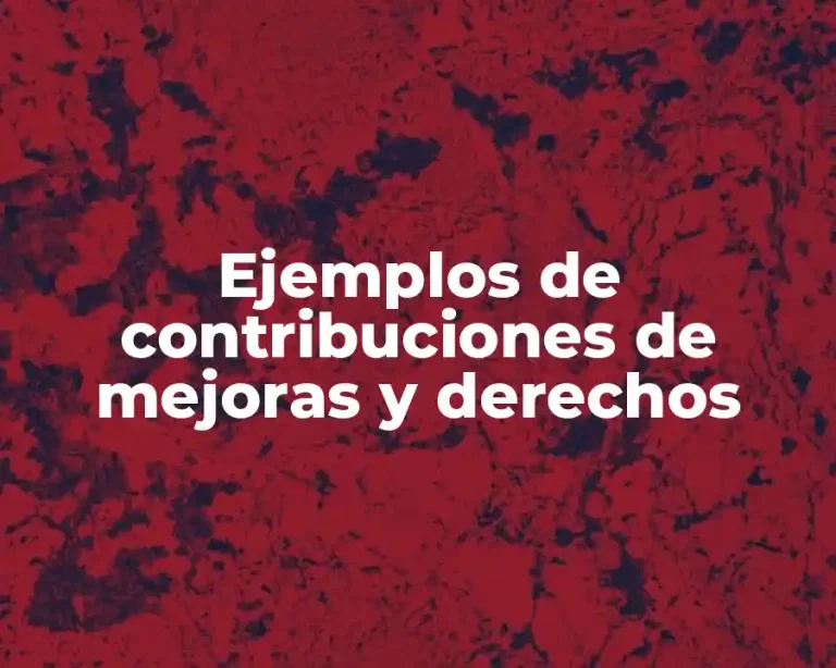 Ejemplos de contribuciones de mejoras y derechos