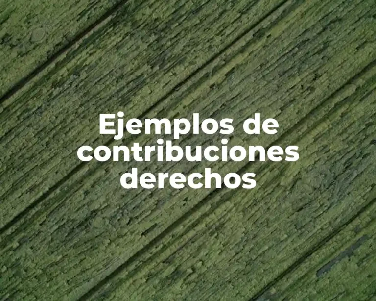 Ejemplos de contribuciones derechos