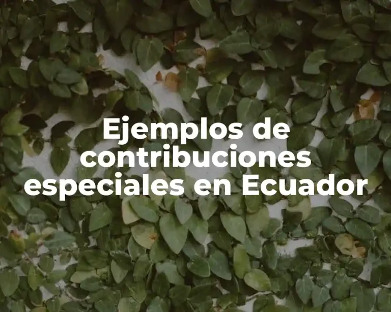 Ejemplos de contribuciones especiales en Ecuador