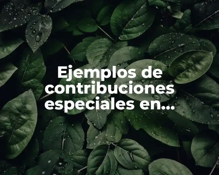 Ejemplos de contribuciones especiales en Guatemala