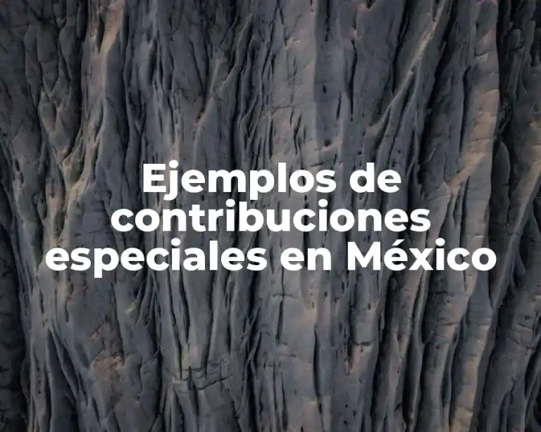 Ejemplos de contribuciones especiales en México