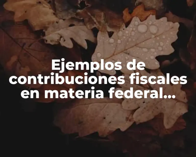 Ejemplos de contribuciones fiscales en materia federal, estatal