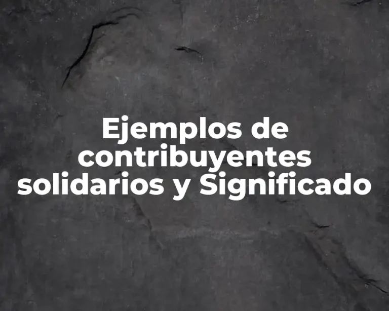 Ejemplos de contribuyentes solidarios y Significado