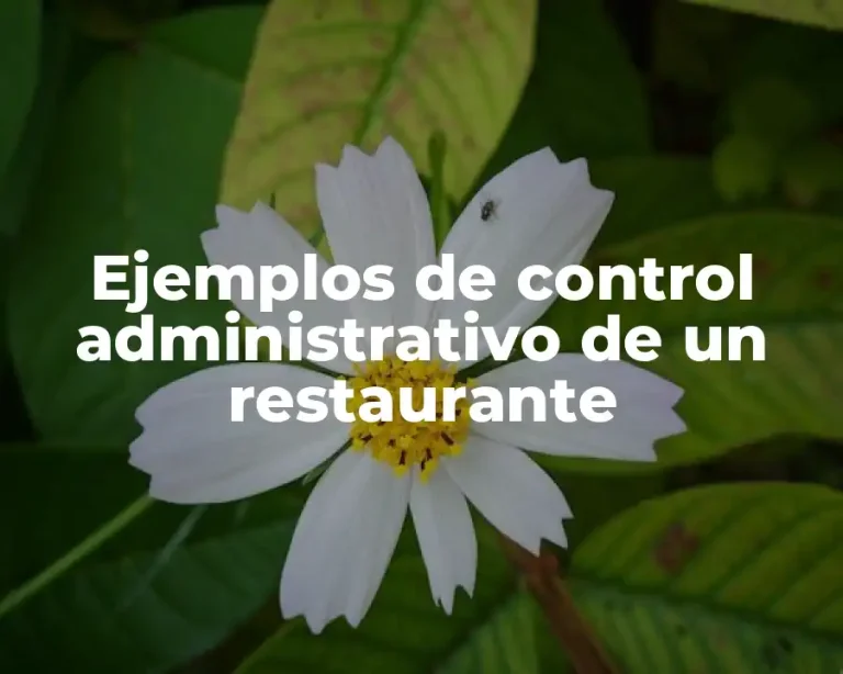 Ejemplos de control administrativo de un restaurante