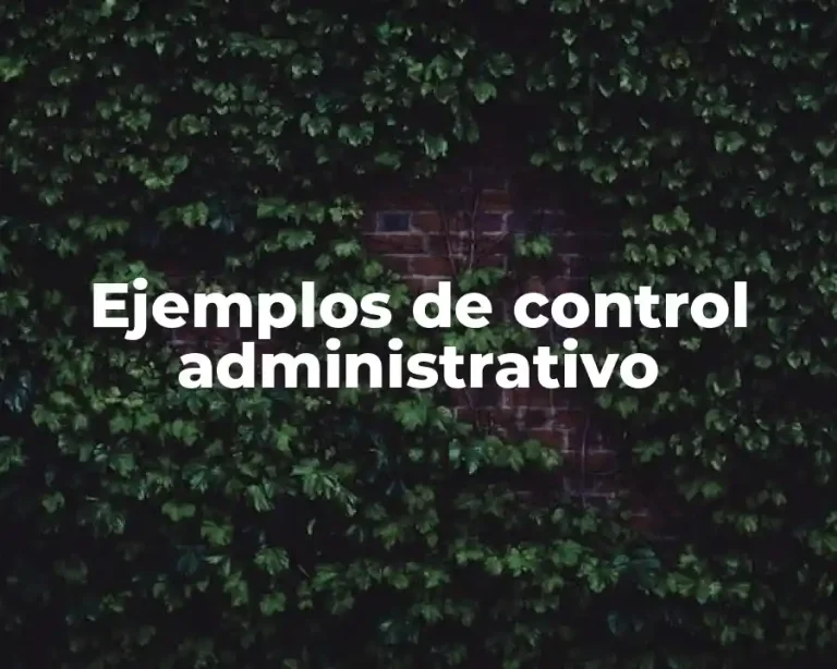 Ejemplos de control administrativo